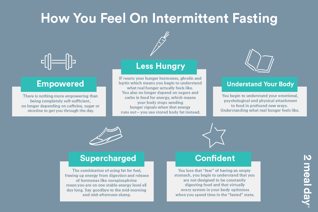 How You Feel On Intermittent Fasting | 2 Meal Day Infographic Image